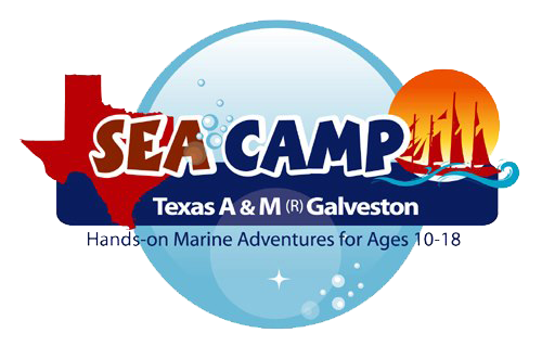 Sea Camp Button